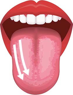 2.舌の片側を舌ブラシでなで下ろす。