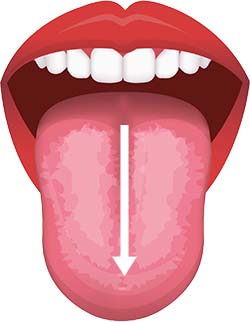 3.舌の中央を舌ブラシでなで下ろす。