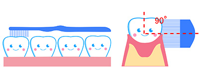噛み合わせの部分・歯の表面の磨き方