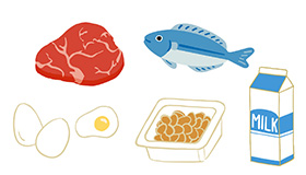 魚、納豆、肉、牛乳