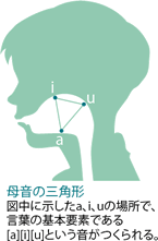 母音の三角形